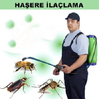 Beydağ Böcek İlaçlama